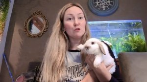 Можно ли брать кролика за уши и как правильно держать кролика в руках