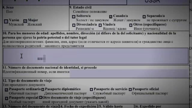 Пластические Виды