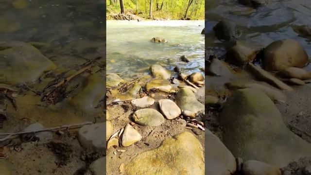 Медитация звуки природы смотреть онлайн