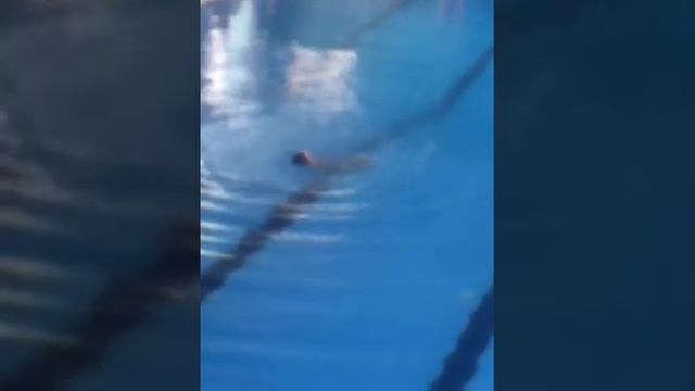 Синхронное плавание кубок ростове-на-дону смотреть онлайн