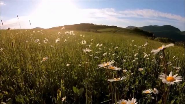 Эту музыку можно слушать вечно! Сергей Чекалин! Божественная музыка, способная тронуть Сердце