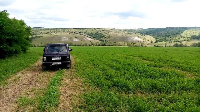 Костомарово (поисковый дайджест)