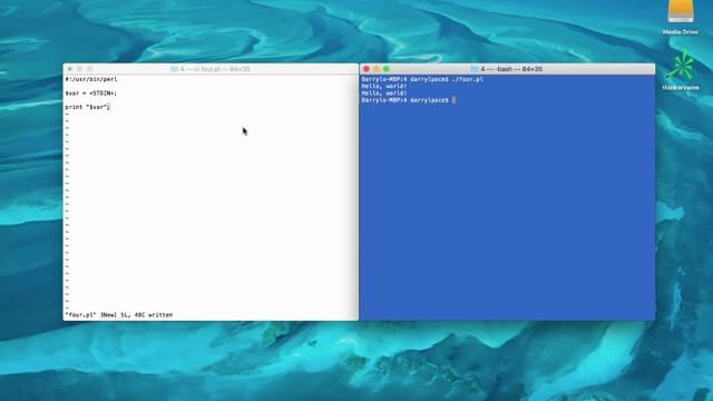 Perl Snack # 4 - the Line Input Operator to get User input into your Perl program and Chomp newline смотреть онлайн