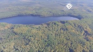 Озеро Папоротное, Лужский район - #luga_photo