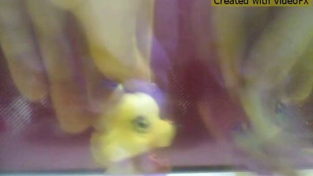 LPS песни вразброс смотреть онлайн