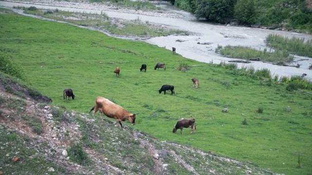 САМЫЕ КРАСИВЫЕ МЕСТА ЮГА РОССИИ. Кабардино-Балкария. Хушто-Сырт смотреть онлайн
