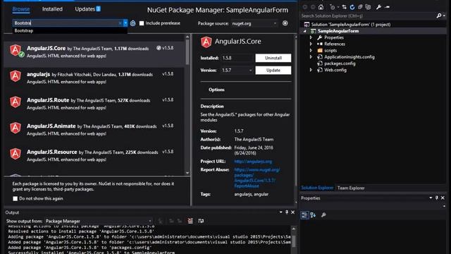 Setup AngularJs on Visual Studio Project смотреть онлайн