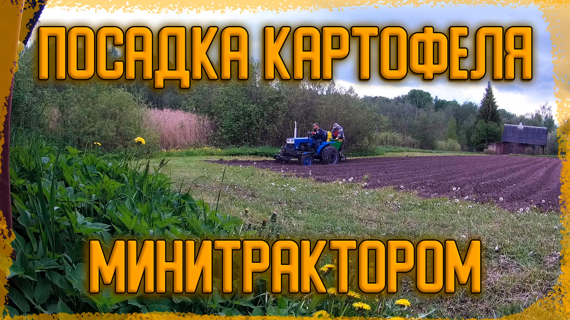 Потерянное видео про посадку картофеля. смотреть онлайн