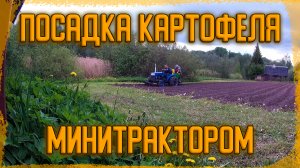 Потерянное видео про посадку картофеля.