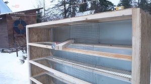 Новая и самая лучшая уличная клетка для кроликов. Кроличья многоэтажка!