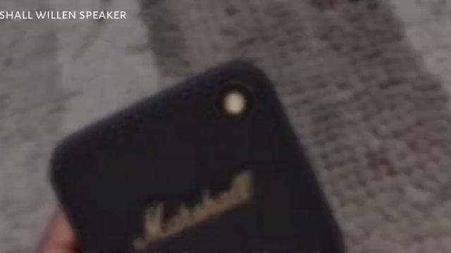 Marshall WILLEN Speaker ? Value For Money ? ? смотреть онлайн
