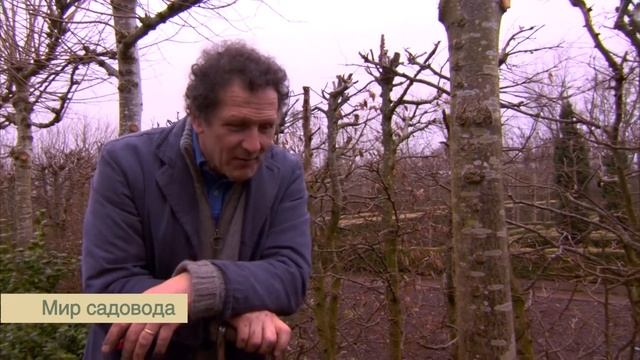 Видели акант? смотреть онлайн