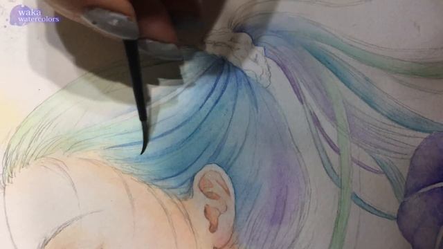 Watercolor Painting/朝顔 Morning Glory [アナログ水彩イラストメイキング]