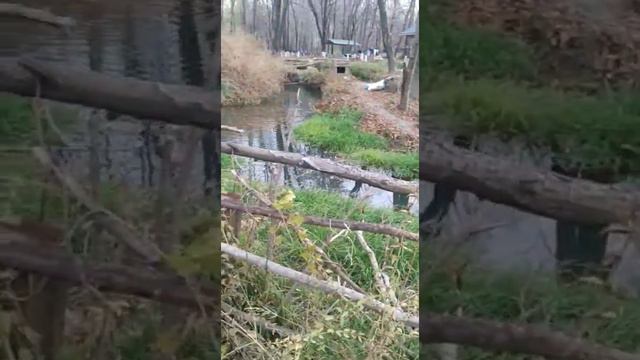 Рыбный хозяйства Токмок смотреть онлайн