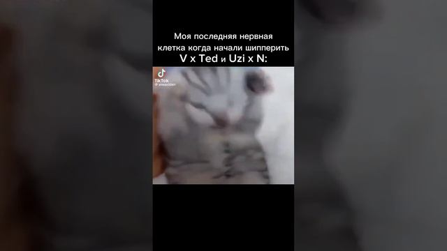 Если нету звука - то это норм:_ смотреть онлайн