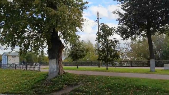 За что убили Медведицу ? Ярославль. смотреть онлайн