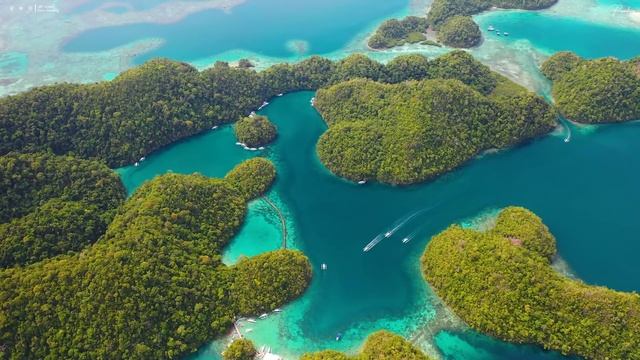 FLYING OVER PARADISE (4K UHD) - Relaxing Music Along With Beautiful Nature Videos - 4K Video HD