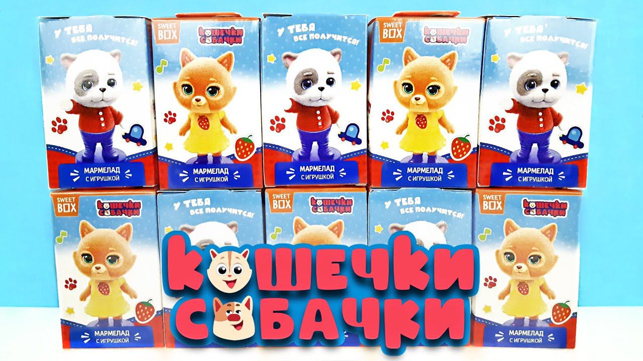 КОШЕЧКИ СОБАЧКИ СВИТ БОКС 2023! СЮРПРИЗЫ, игрушки, мультик, новая серия Sweet Box Surprise unboxing смотреть онлайн