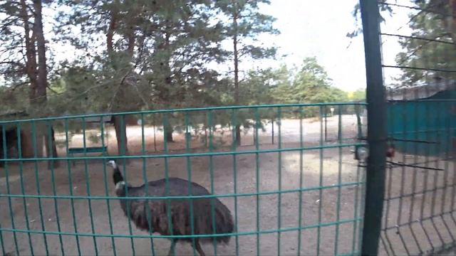 ЩУРОВО / ГОЛУБЫЕ ОЗЁРА / ЦЕНЫ НА ЖИЛЬЁ / ДОРОГА смотреть онлайн