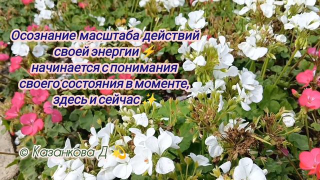 #момент#здесьисейчас#энергия#энергиямасштаба смотреть онлайн
