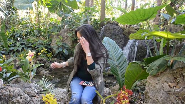Orchid Haul, Fairchild Tropical Garden, Oncidium, Dendrobium, Vanda, Orchid Care, Orchid Diva смотреть онлайн