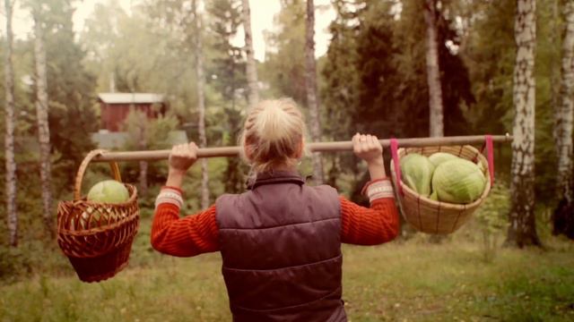ЗОЖ смотреть онлайн