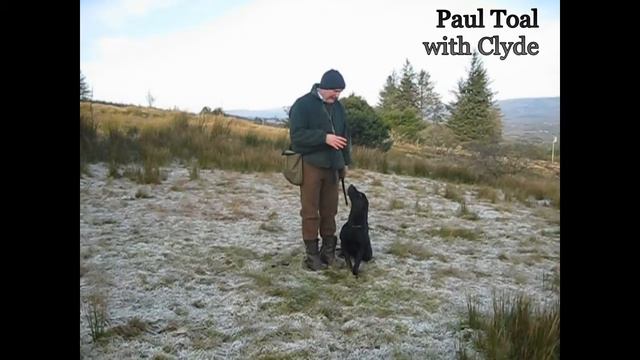 2-Instruction In Handling A Finished ALTIQUIN Labrador Retriever