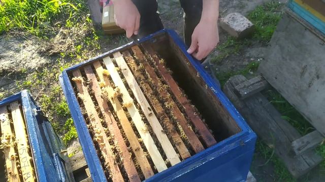 Делаем отводок на пол лёта смотреть онлайн