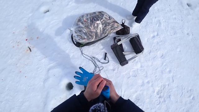 Зубастая корюшка и тонны наваги | Рыбалка на Сахалине смотреть онлайн