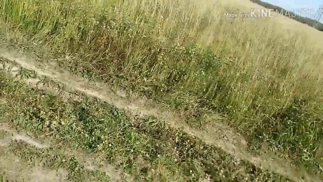 Моноколесо. Покатушки. Падение 0:46. Однодневный поход и немного бездорожья смотреть онлайн