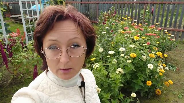 Видео привет с 6 соток 7 сентября 2021 год.