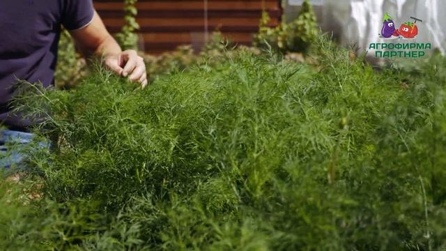 ОБЗОР УКРОПА ДУКАТ смотреть онлайн