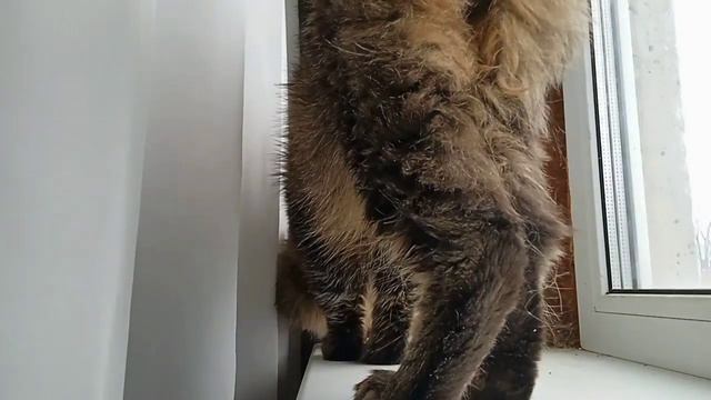 Настоящее кино, для настоящих мужчиков. смотреть онлайн