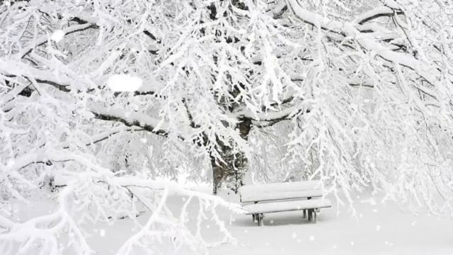 Звуки метели и вьюги для медитации и сна смотреть онлайн