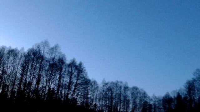 Охота на вальднепиной тяге 2017 смотреть онлайн