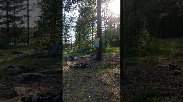 #жизнь #мир #топ #лес #странник #волшебство #путешествия #рекомендации #путь смотреть онлайн