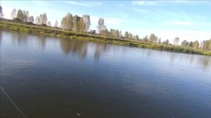 рыбалка на реке Чулым Назаровский район