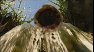 Артур и минипуты