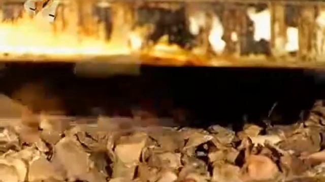 Кедровые пластины Галилео смотреть онлайн