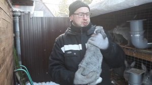 Ниппельные поилки для кроликов зимой. Утепление и обогрев поилок для кроликов