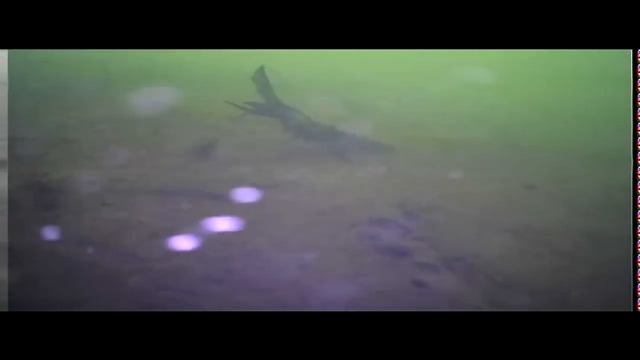 Плюсы и минусы подводной камеры Fishcam Plus 750 DVR смотреть онлайн