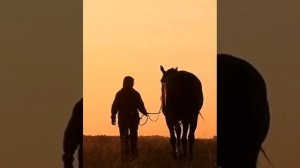 SHAMAN ~ "КОНЬ"(кавер) ~ Ярослав Дронов❤️