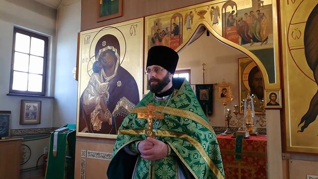 День Святой Троицы. 12.06.2022 Проповедь о.Димитрия Шульги смотреть онлайн