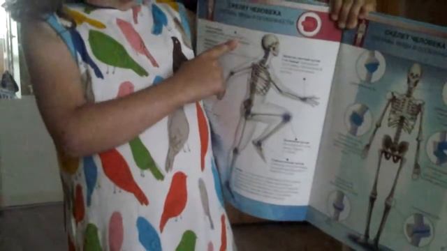 Анатомия вари смотреть онлайн