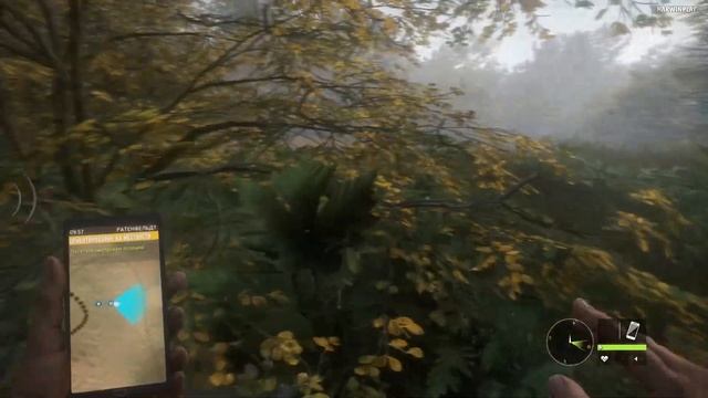 THE Hunter Call of the Wild ► СИМУЛЯТОР ОХОТЫ (Прохождение на русском №1) смотреть онлайн