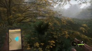 THE Hunter Call of the Wild ► СИМУЛЯТОР ОХОТЫ  (Прохождение на русском №1)