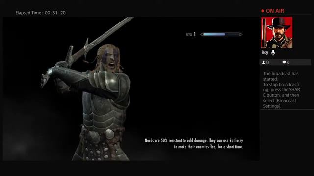 Skyrim with Mods смотреть онлайн