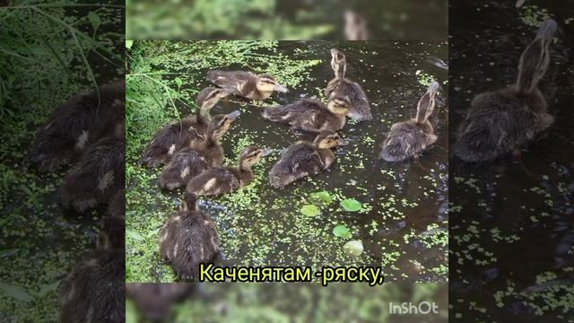 "Ішла весна-красна" Веснянка, вивчення напам'ять. смотреть онлайн