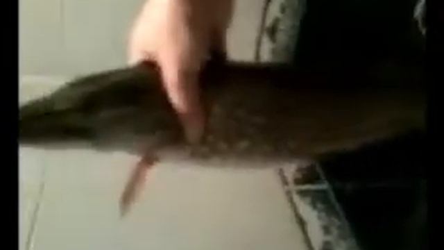 Зимняя рыбалка в Самаре смотреть онлайн