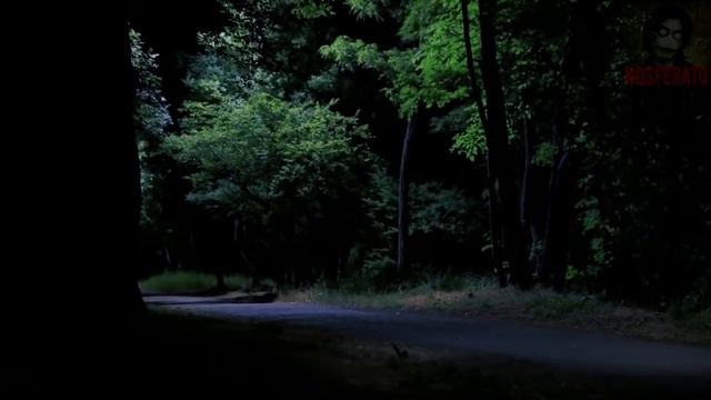 Истории на ночь - Тварь Измайловского парка смотреть онлайн